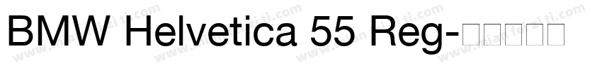 BMW Helvetica 55 Reg字体转换